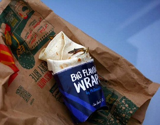 JdeQuebec's tweet image. Une jeune fille trouve une grenouille morte dans un sandwich du McDonald’s
journaldequebec.com/2015/11/03/une…