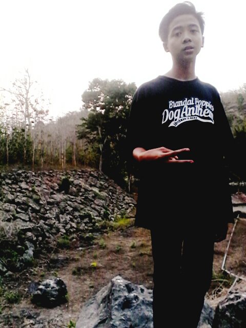 AditMeshak tweet picture