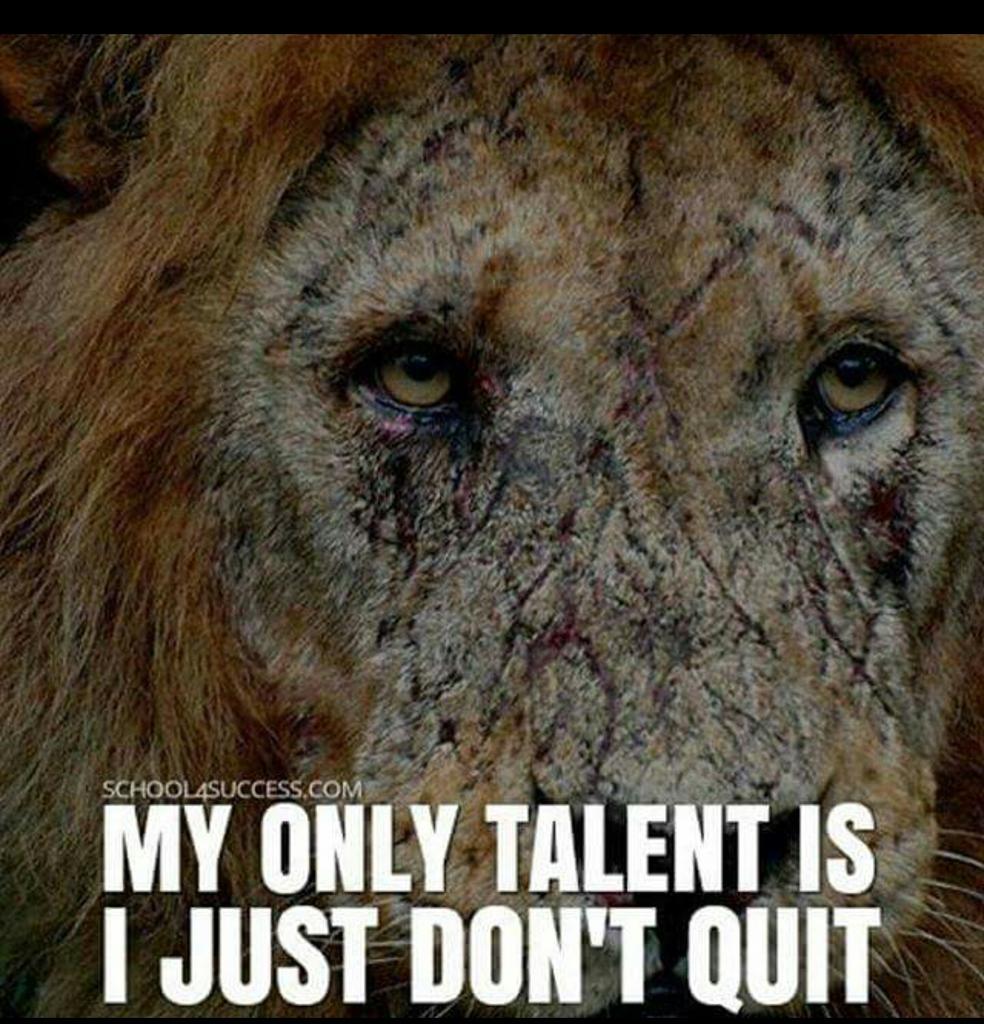leonwizwhite's tweet photo. Keep fighting for your goals and dreams! #unitedforchange #TEAMUFC #entrepreneur #project5k https://t.co/7wZRjrlc3p