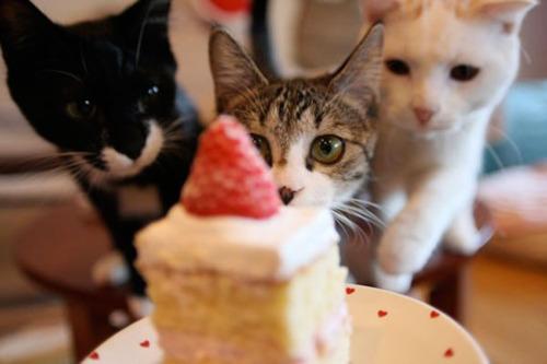 Hi Wednesday
Morning chuuu~~
Happy Birthday Choi Seung Hyun Ajusshi 