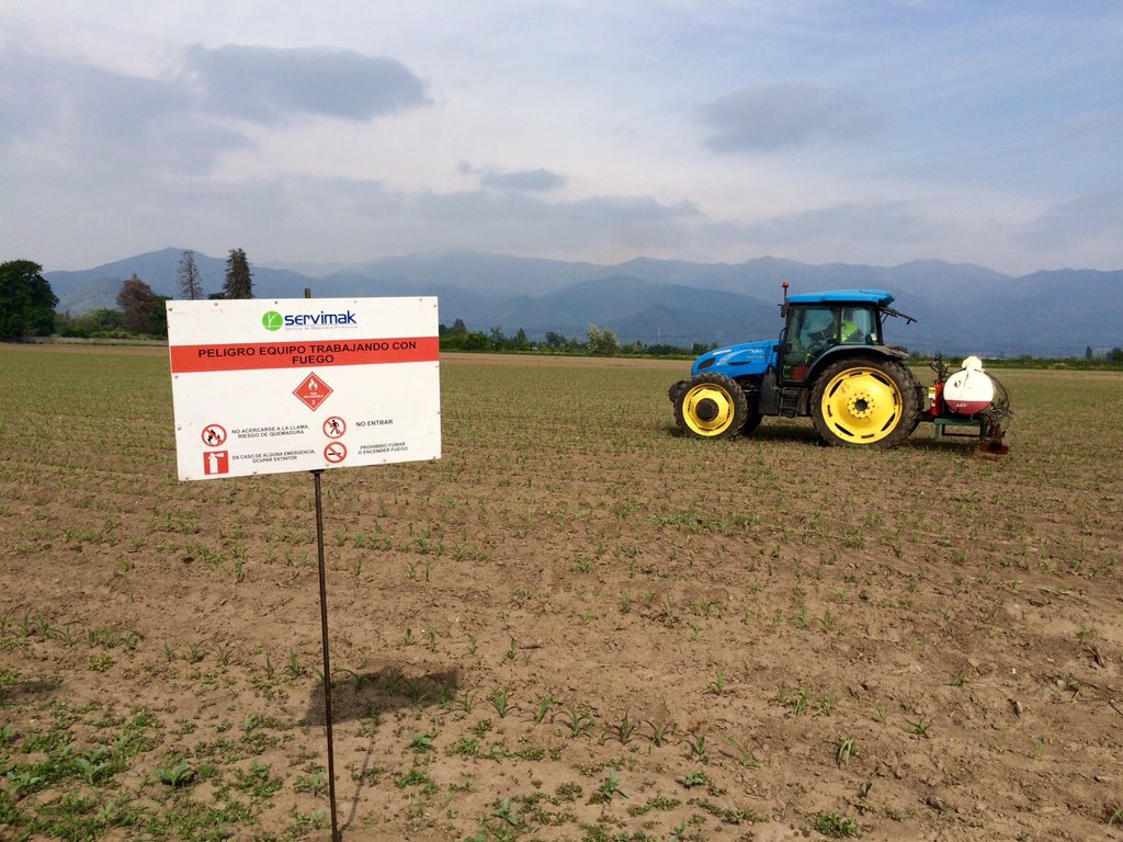 Servimaksa's tweet photo. #FlameoMaíz #Monsanto @luistoroc @joseceapizarro @JLGuardaW @jcfuentesb @TroncosoAlan @MatiasPavez5 @MBaldovino71 https://t.co/0Cpv8DBwlB