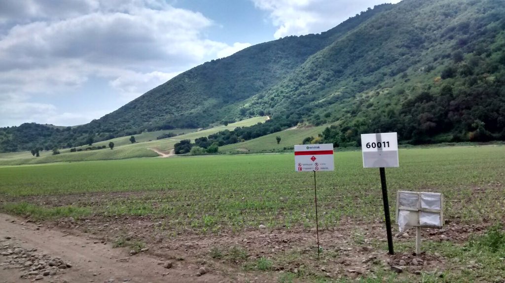 Servimaksa's tweet photo. #FlameoMaíz #Monsanto @luistoroc @joseceapizarro @JLGuardaW @jcfuentesb @TroncosoAlan @MatiasPavez5 @MBaldovino71 https://t.co/21VuLtQtXi