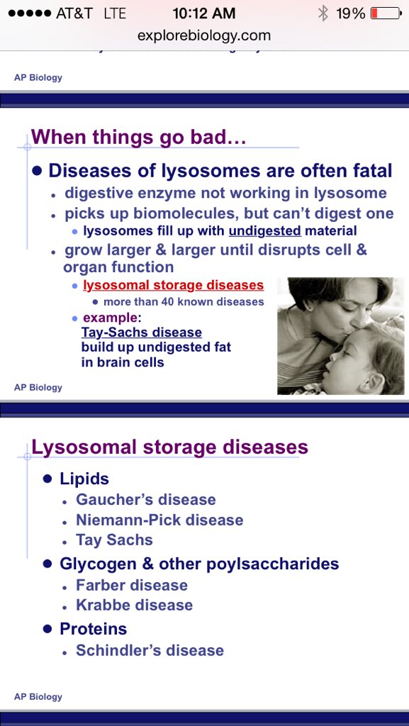 Mitochondrion4's tweet photo. @Lysosome6 @AP_Science I believe this photo says it all. #lysosomaldiseases #fatal #ENERGYFORTHEWIN https://t.co/nUCYNFgCt3