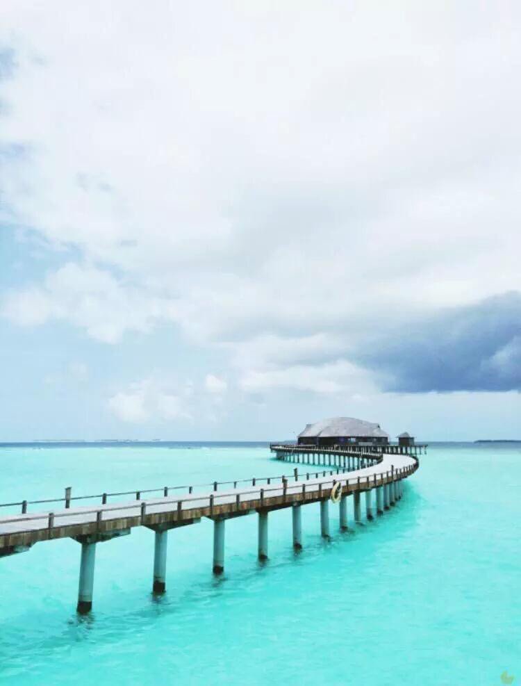 TheParadisePics's tweet photo. Maldives paradise https://t.co/cGIokReN7L