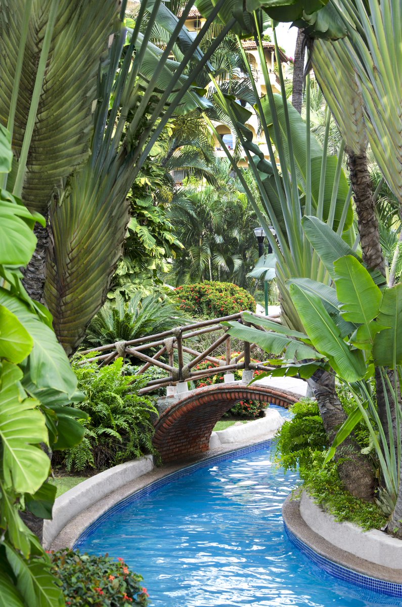 VelasVallarta tweet picture