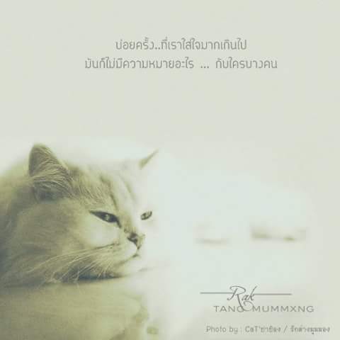 Alone (@love_beginagain) on Twitter photo 