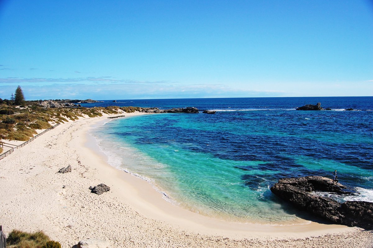 Must see spot of the week - Rottnest Island
#paradise #rottnesisland #beachtime #summer #seeaustralia