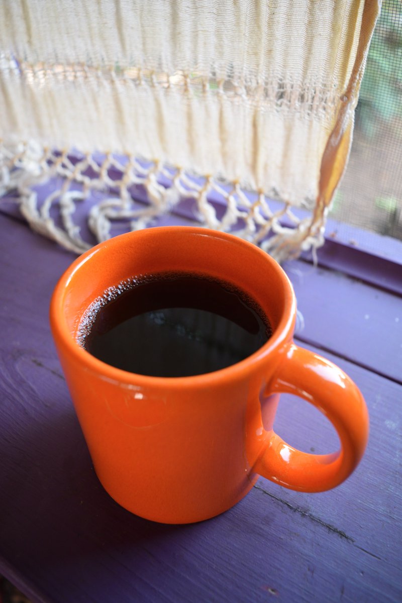 LostPinesYaupon's tweet photo. #Trading #caffeine for #bitcoin. #Yaupon is #yerbmate's U.S. relative #nootropics https://t.co/ciZAHUC6C7 https://t.co/iH2b61W9Qt