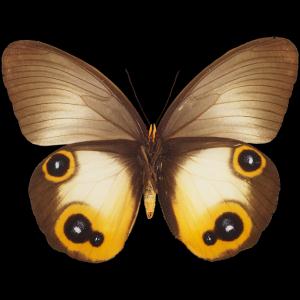 Дмитрий Ткаченко (@datkachenko) on Twitter photo 