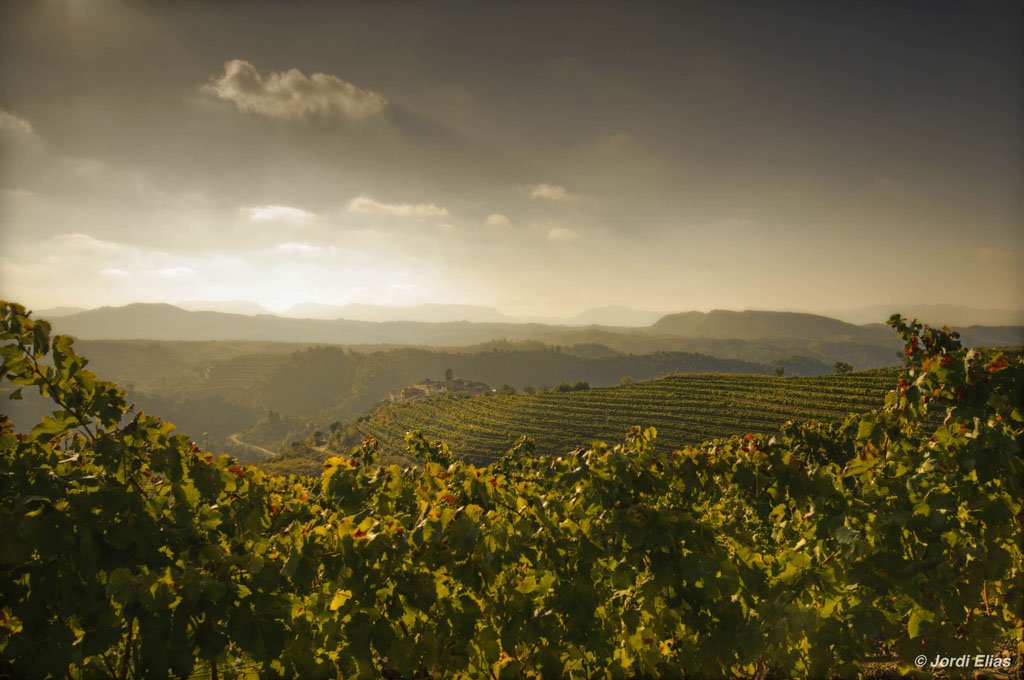 Priorat...

Wat weet jij toch mooie wijnen voort te brengen..

Lees op….  wijngekken.nl/2015/11/04/gin… 

<a href="/GroupeLFE/">GroupeLFE</a>