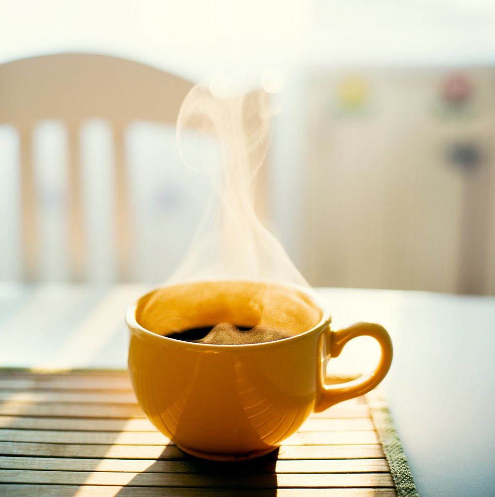 stasa_carica's tweet photo. #prva #kafa #jutro #suncano #dobrojutro https://t.co/eEMJQoAQof