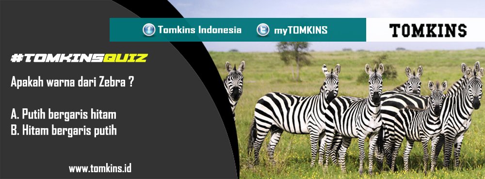 myTOMKINS's tweet photo. #TOMKINSQUIZ
Jawab pertanyaan pada gambar dan menangkan hadiah spesial sepasang sepatu TOMKINS https://t.co/sspZlvEsk5