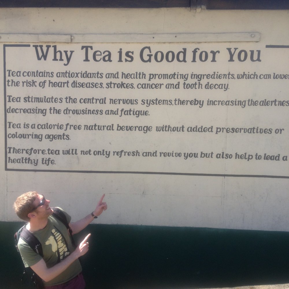 BirdandBlendTea's tweet photo. Seen all these reasons why tea is good for you? Everything from tooth decay to cancer! https://t.co/cJJQy02LTQ