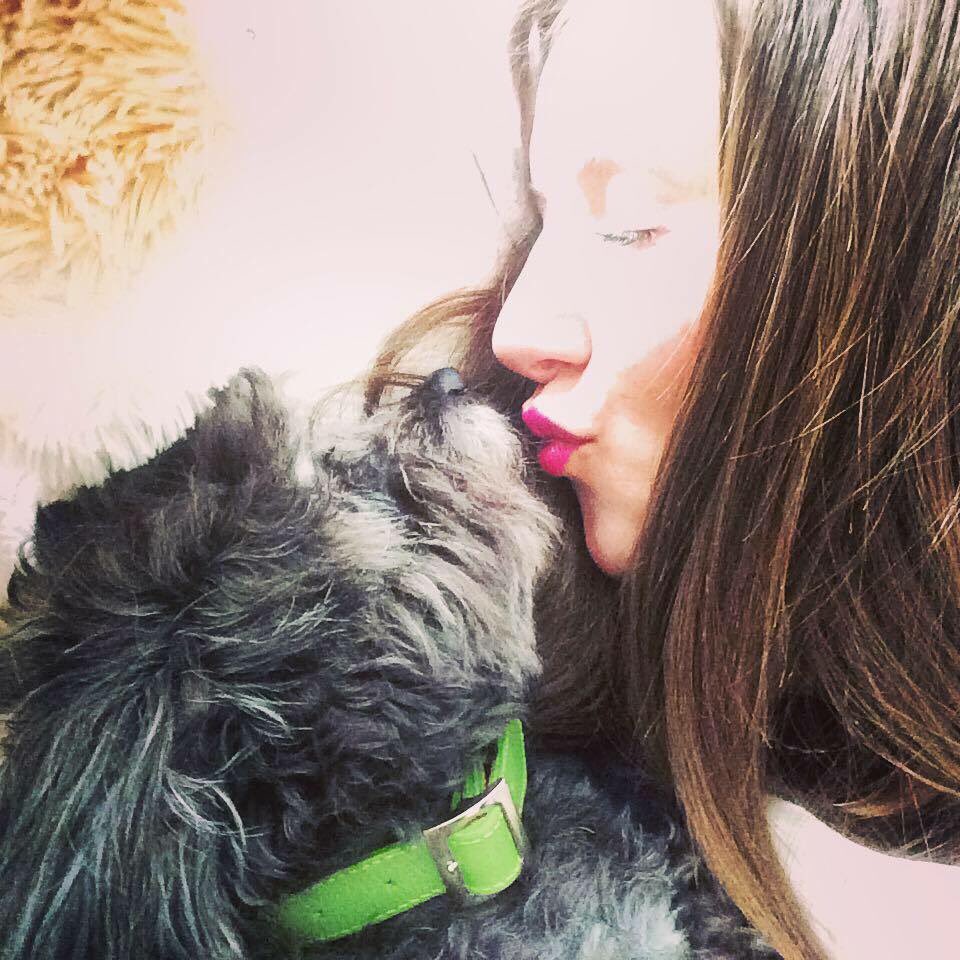 danielajimenezq's tweet photo. A un perro no le enseñas... Él te aporta un sinfín de enseñanzas #missingbob #forever #ripbob https://t.co/L6UnvCnjZI