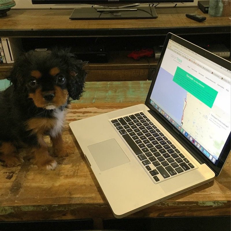 MHB & GOTC tweet media