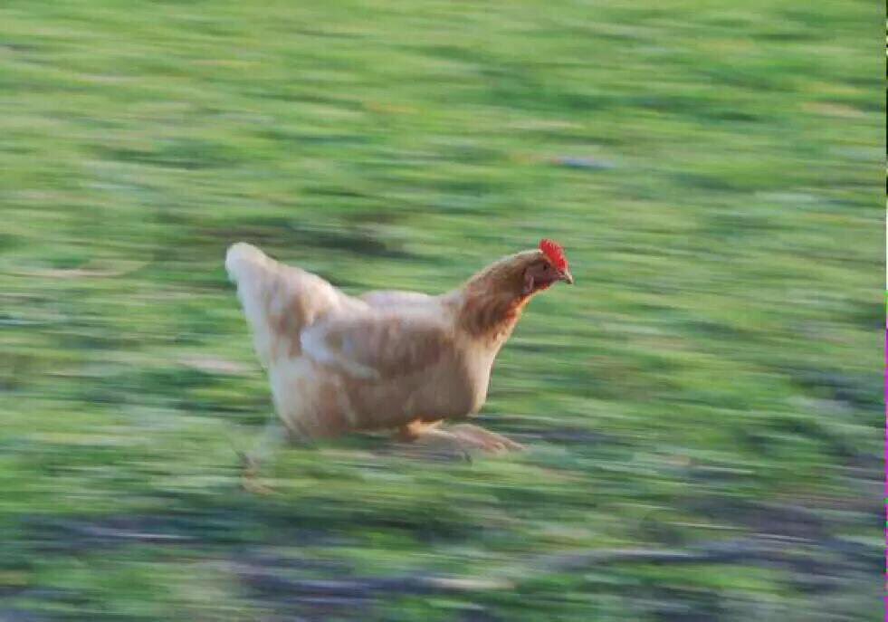 —Gordo, no me ha bajado.
—