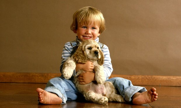 MoveTheWorldAU's tweet photo. Living with a #dog cuts child's risk of #asthma by 15%, study shows https://t.co/nCBLcuHLg2 https://t.co/xWDNZXNNmt