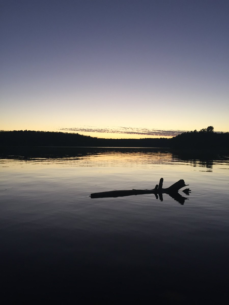 TechCouncilTE's tweet image. Beautiful Sunset at @RosseauLake