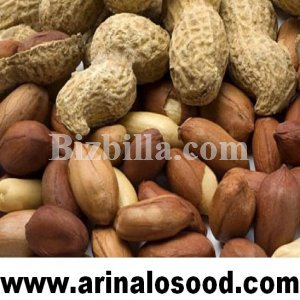 BizbillaB2B's tweet photo. #Selloffers
#Peanuts of #Arin_alosood listed in https://t.co/kQ6oUBulRa
<> https://t.co/cP5lNv6K4O
#b2b_services https://t.co/ruCMWCQLGw