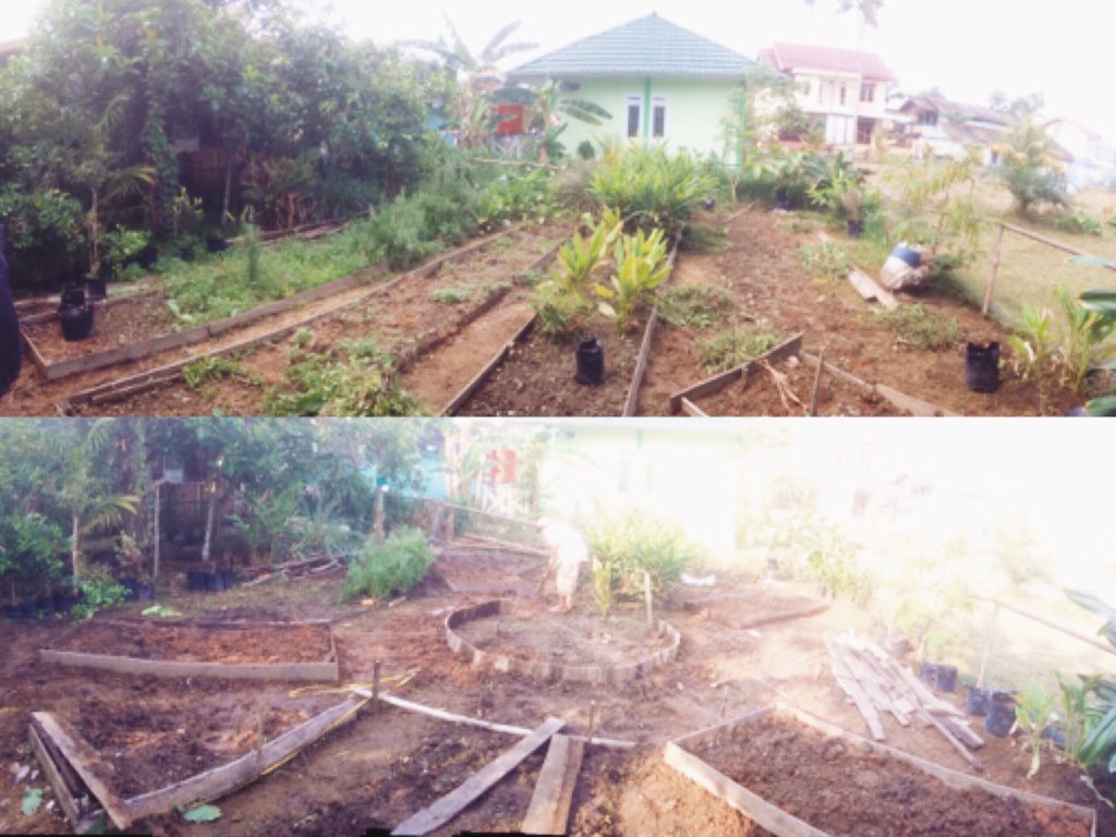 Hallo apa kabar nih? #kebunmandau masih progress ni, Weekend ini ikutan ngebon yok! <a href="/IDberkebun/">Indonesia Berkebun</a>