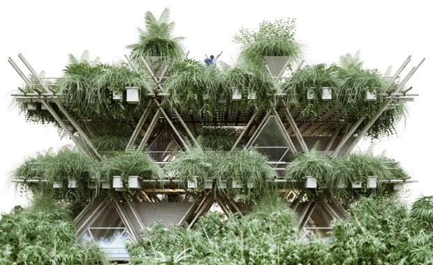 Would you live in a modular bamboo apartment?
theurbandeveloper.com/bamboo-city/