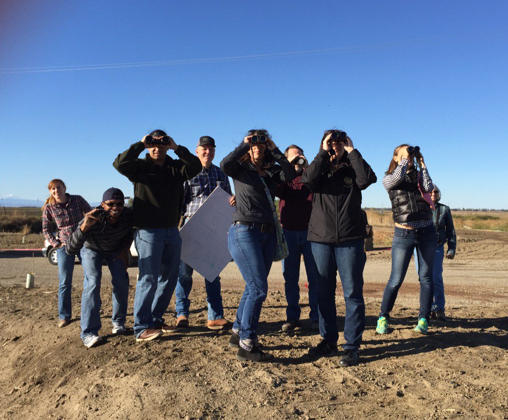 shorebirdnerd's tweet photo. Taking legislative staffers into rice country to show them bird-friendly farming @AudubonCA #birdfriendlyfarming https://t.co/nlPd8iJLHr