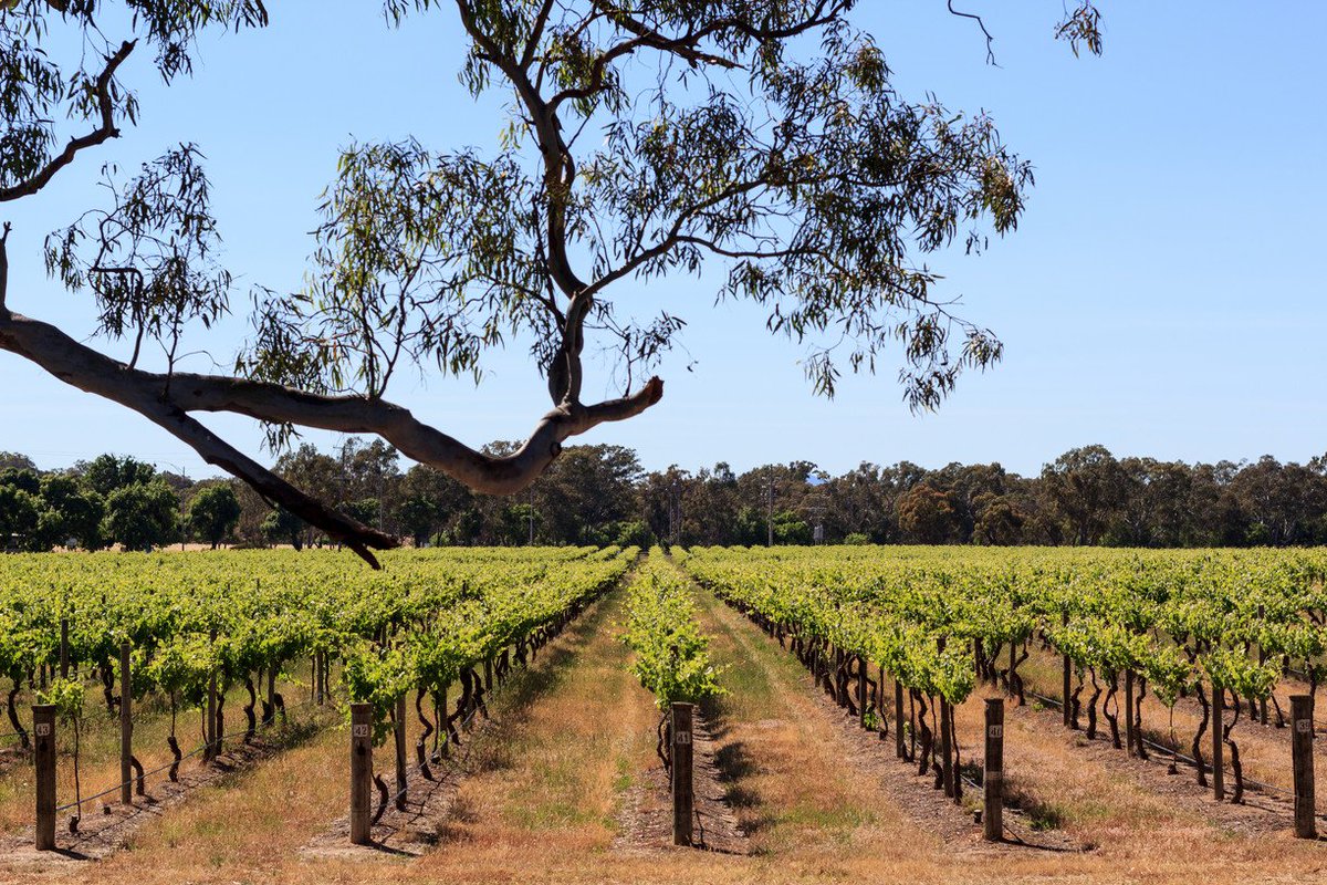 Melbourne's tweet photo. 7 great mini breaks from Melbourne https://t.co/CIAfgKZGW6 via @UrbanListMELB https://t.co/iINk3Np8Dw