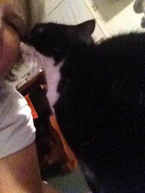 BLeggio's tweet image. @JillHennessy I wanted to share, Madonna giving her Mama kisses!  #SoLovable
