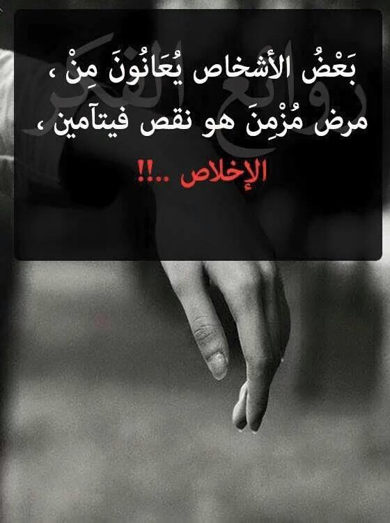 حين يأتي الظلام تحول الخفافيش امام النافذة تطارد بعضها البعض وكذلك البشر