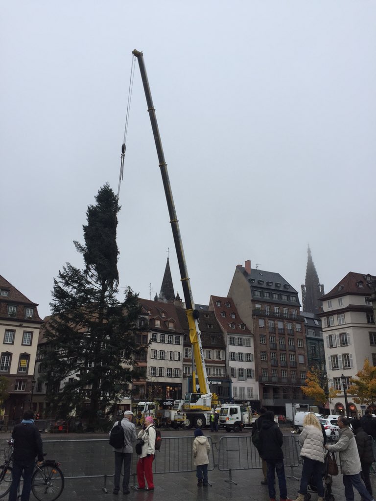 riksprengers's tweet photo. #exploreuniworld putting the christmas tree up in #Strassbourg big style https://t.co/t0XiZgQbQj