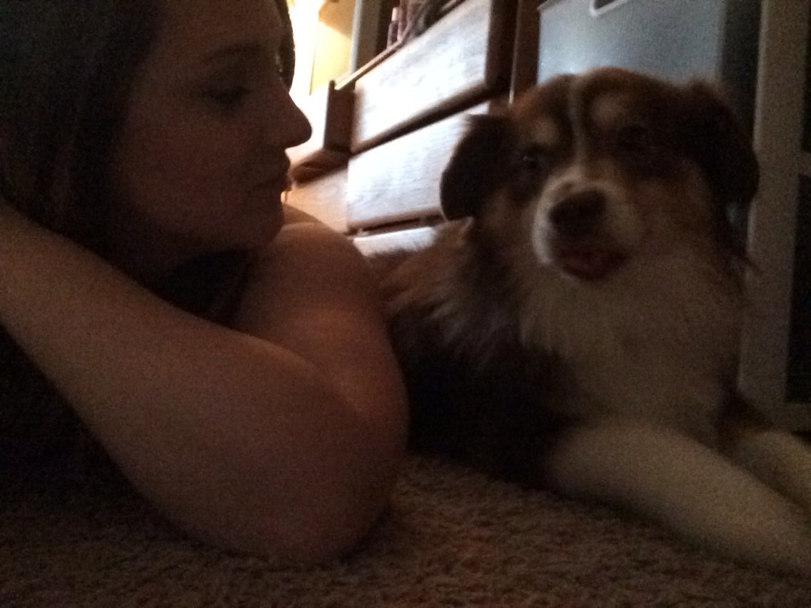 Reallycoolhuh's tweet image. Then proceeds to stick his tongue out ... Little 💩 head 😂 #whatidowhenimalone#dogmomjokes#lameiknow#lovehim