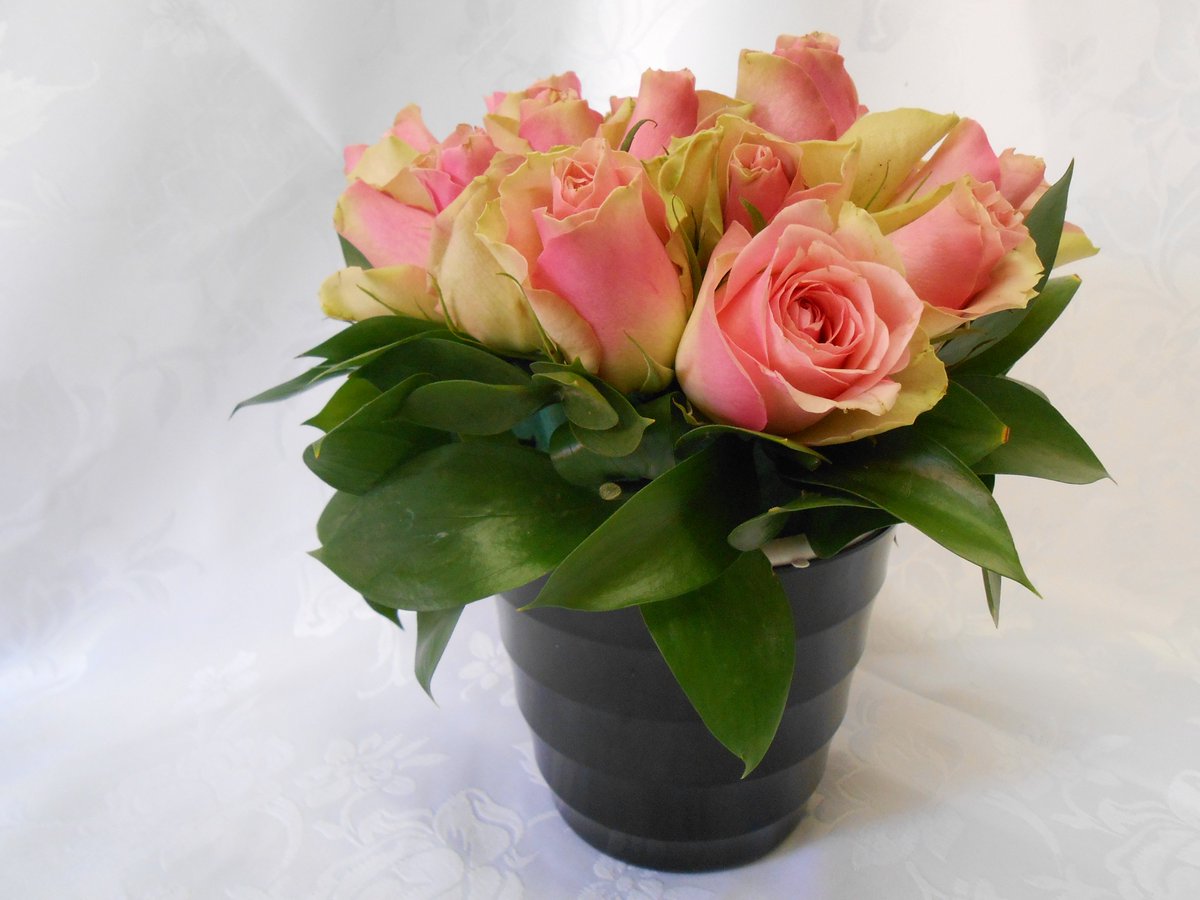 #TeMooi #Verlief #Vintage