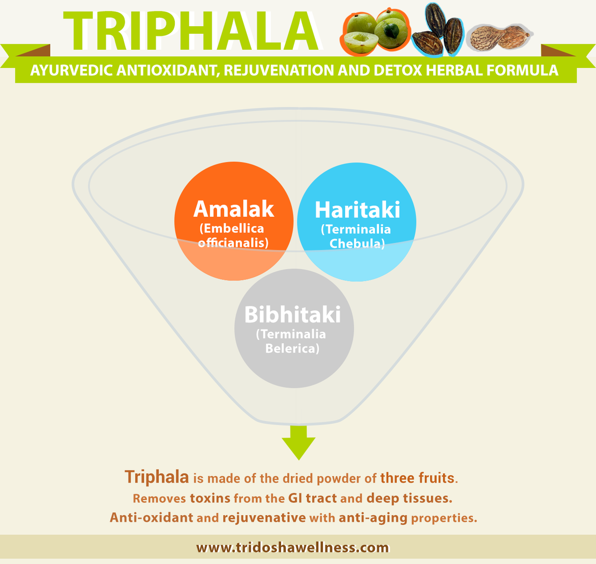 ManuKalia's tweet photo. #Triphala One Of The Most Famous #AntiOxidant, #Detox and #Rejuvenative #Ayurvedic Formulas https://t.co/OlvSQrteA7 https://t.co/tMJzAykuoy