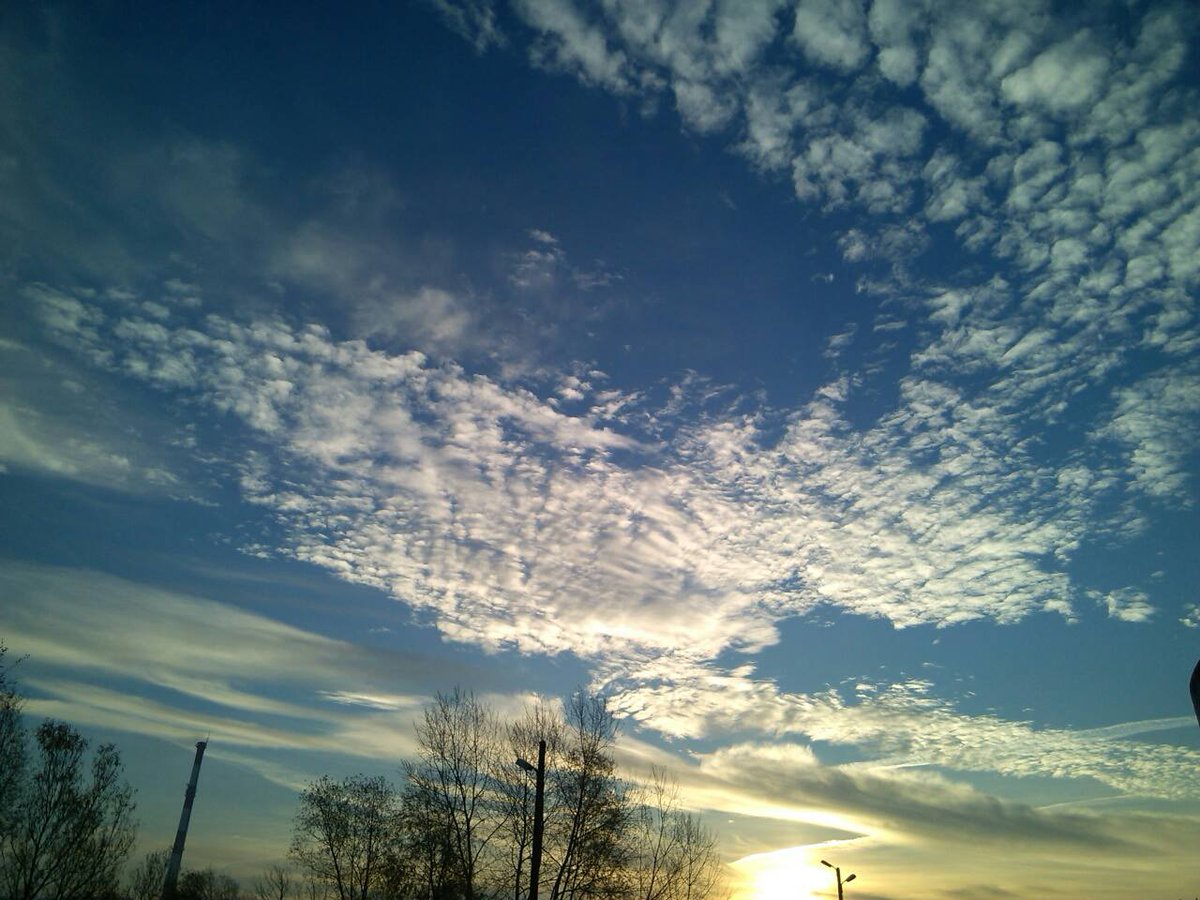 juska113's tweet photo. Good morning my Echelon &amp; Epic Family!
#GoodMorning
#SunIsShiningAndSoAreYou
@NatalieZoe1089 https://t.co/wMNilHYg8e
