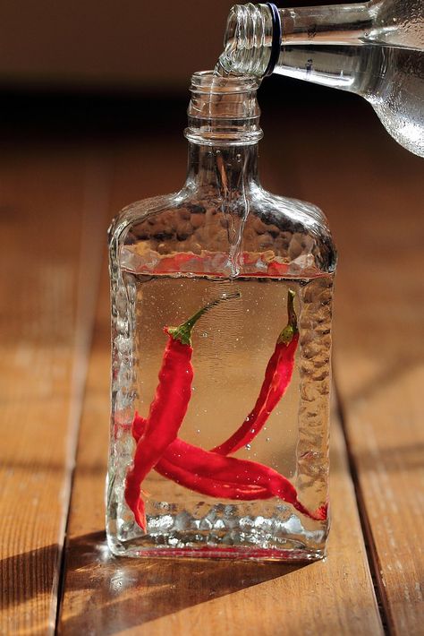 drinknhd's tweet photo. Looking for #vodka with a little more bite, try making your own #chilli #vodka https://t.co/fJPv4CAohN #vodkalab https://t.co/pa4LlXS7RJ