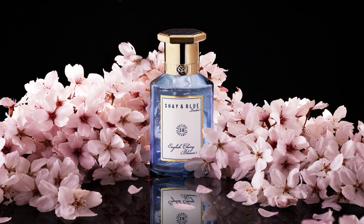 Fashion_Monitor's tweet photo. Shay &amp; Blue reveals English Cherry Blossom Eau De Parfum https://t.co/hTuhyFlQVQ @ShayandBlue @DeVettaPR https://t.co/2SAZPWPQS6