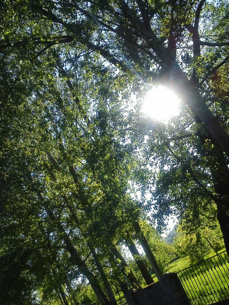 mmmmeley's tweet photo. #frommyPOV #nature #takingphoto https://t.co/4JeaQg0zSA