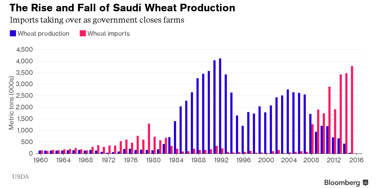 Saudi Wheat Production