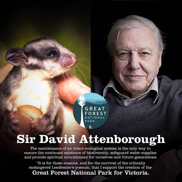 dtdchange's tweet photo. MT @JCrooka
Sir David Attenborough on the need for a @GreatForestNP #GFNP #water #climate #biodiversity https://t.co/UQHjmSxxux