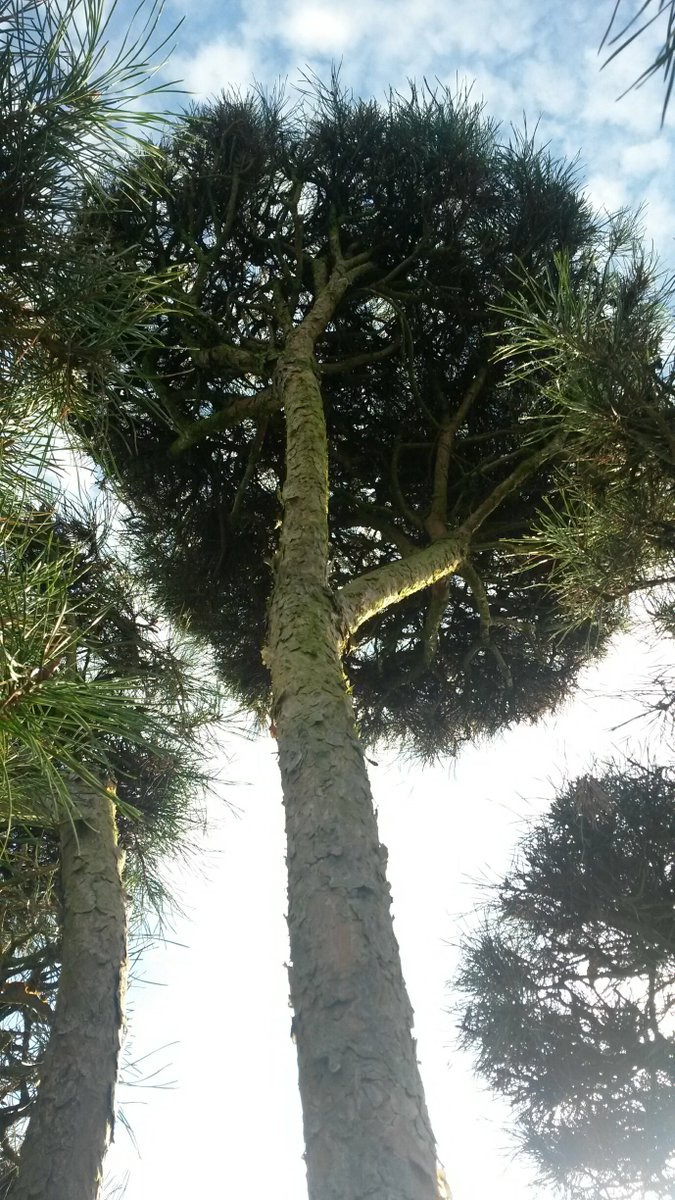 GemeenteUtrecht tweet picture