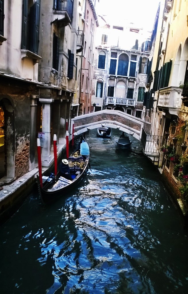 LeighLoopeth's tweet photo. Venice was lovely & only smelled if poo a little bit! Complete bed rest today! #postholidayrecovery https://t.co/H9Vlgm1vnR
