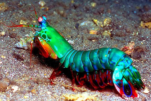 GoTcLaW's tweet photo. Don` worry I know I`m pretty. #Rainbowcolored https://t.co/ZqwYkwhdrJ