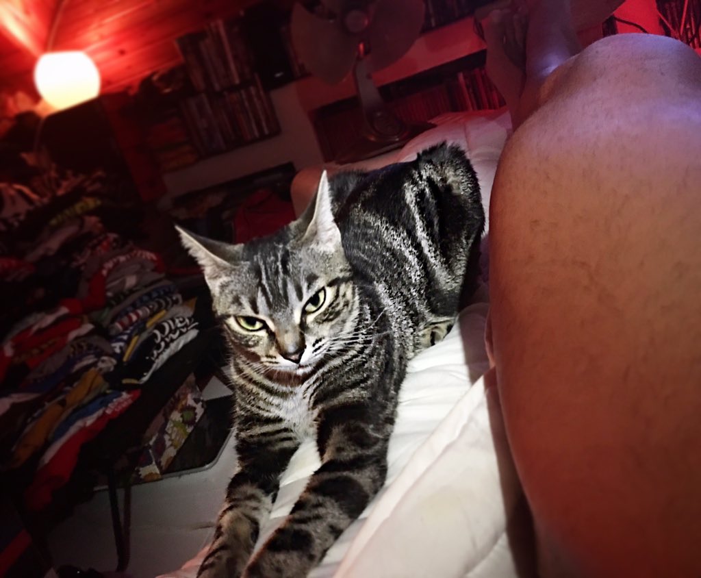 Cada día está más guapo #Gelamin. Como se nota quien lo está asesorando... 😹😹😹 🔝rafamartin.tv🔝