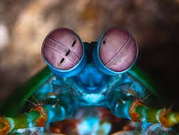 GoTcLaW's tweet photo. I can see cancer #eyepower https://t.co/GEz8q00KpL