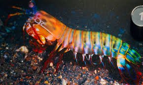 GoTcLaW's tweet photo. How many colors are you #Beautiful https://t.co/AX2gn39b9M