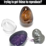 Photo by PLAY ENTERTAINMENT (@PlayENT)