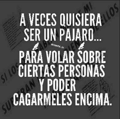 AZEALBA24's tweet photo. #talqueasí https://t.co/e5a5Xn3oxX