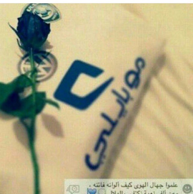 tooofu55's tweet photo. إنـت المـلاذ الأخيـر،ومـابعدك الا العِـدم يـاهـَلال😴💙.”
#رتويت_نجم_الهلال https://t.co/ODYfEzLiU1