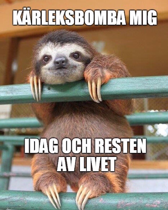 mvh_svt's tweet photo. No Hate-dagen idag! Nätkärlek vinner alltid över näthat! ❤️ #NoHateSe #näthat https://t.co/A7hEoM6BFr