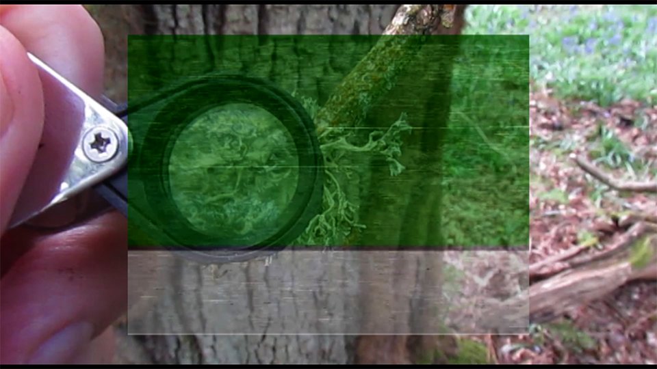 This Sunday we're screening Calor Immodicus: Excessive Heat (2014) <a href="/salonflux/">Salon Flux</a> ,north London salonflux.com/index.php?/ope…